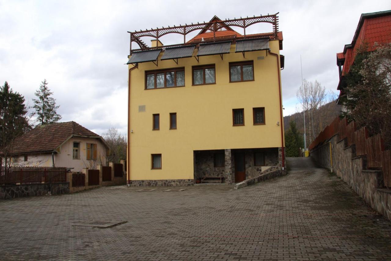 Vila Ursu Din Sovata Bai Экстерьер фото
