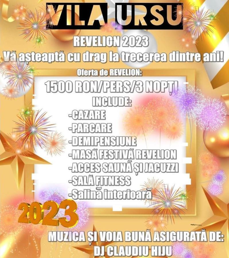 Vila Ursu Din Sovata Bai Экстерьер фото