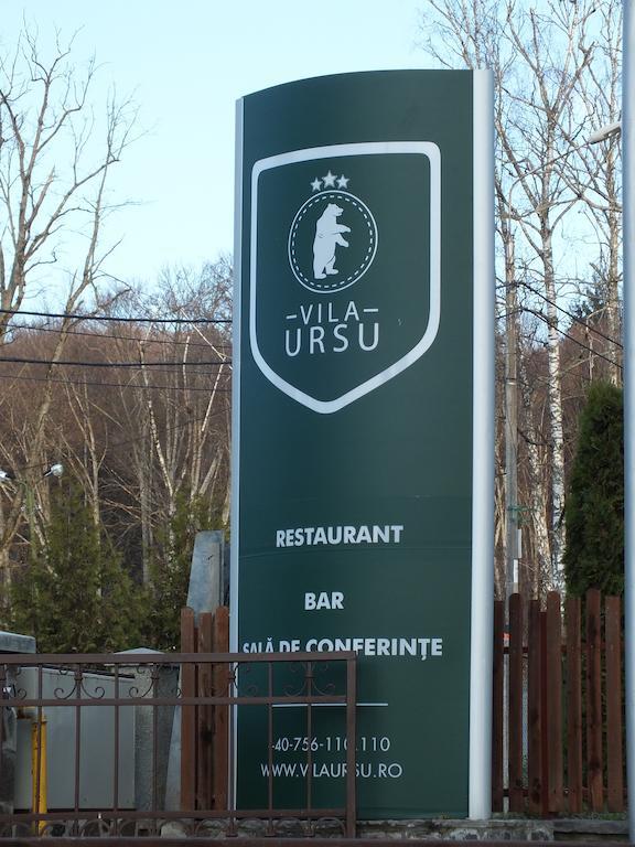 Vila Ursu Din Sovata Bai Экстерьер фото